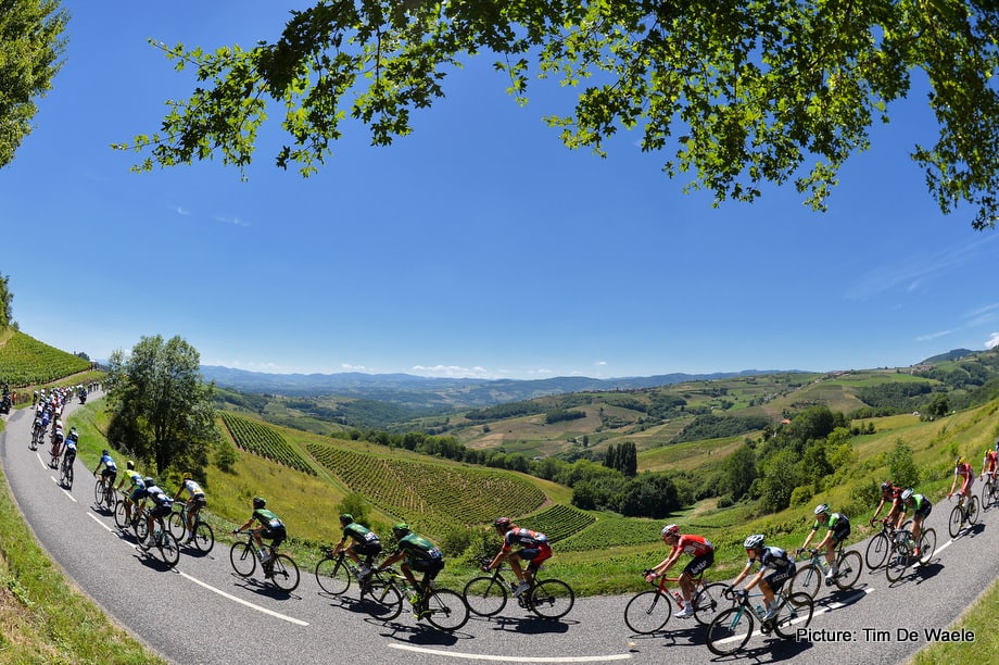 Cycling: 101th Tour de France / Stage 12
